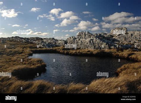 Falkland Islands War Conflict Battle Anniversary Scene Mountain Lagoon