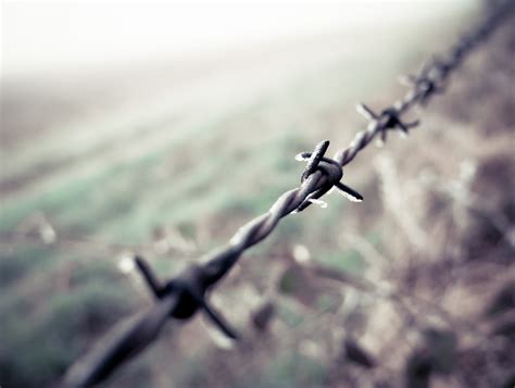 1366x768 Wallpaper Gray Barb Wire Peakpx