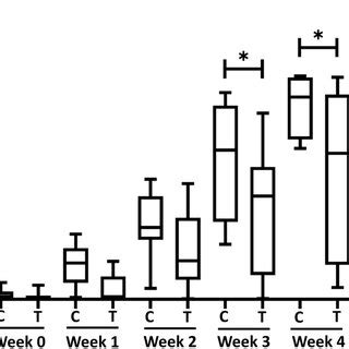 Cell Viability Assays In The Rs Cell Line Treated With Lbh A