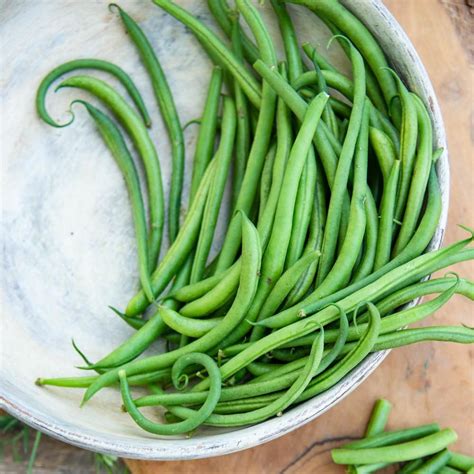 Types Of Green Beans Taka Vegetable