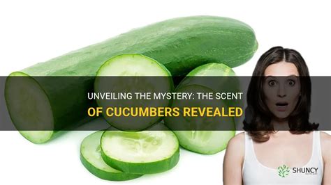 Unveiling The Mystery The Scent Of Cucumbers Revealed Shuncy