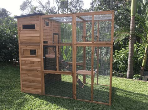 The Best Cat Enclosures