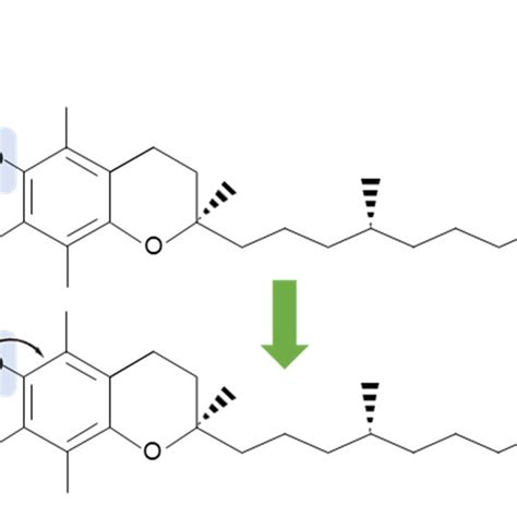 Antioxidants Phenolic Compounds In Rice And Structure Activity