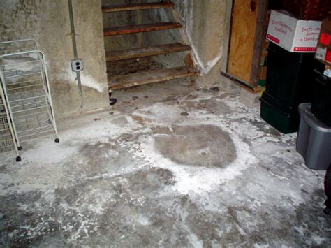 Rotting Basement Floors Basement Flooring Damaged By Rot Mold Water