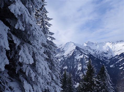 Blick Gegen Muntaluna Und Pizol Fotos Hikr Org