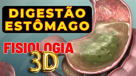 Fisiologia Da Digest O No Est Mago Tridimensional Enzimas