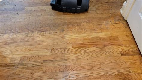 Hardwood Floor Wax Buildup Removal Flooring Ideas