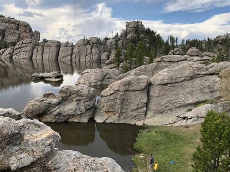 Custer State Park 2019 All You Need To Know Before You Go With Photos Tripadvisor