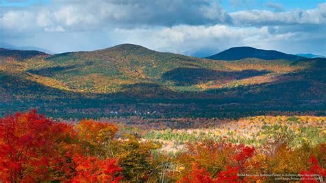 Hd Wallpaper White Mountain National Forest In Autumn New Hampshire