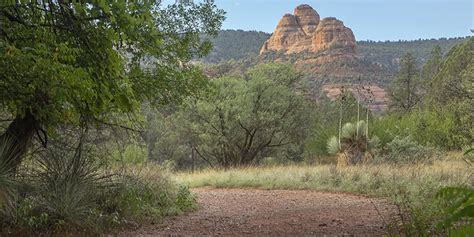 Arizona State Parks On Twitter Rt Nature Arizona Attention