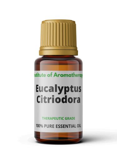 Olejek Eteryczny EUKALIPTUS CYTRYNOWY Eukalyptus Citriodora Instytut Aroma