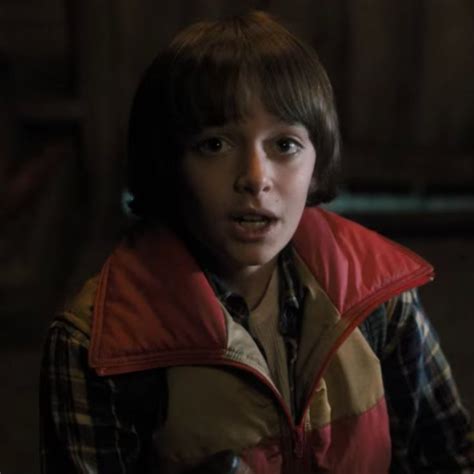 Will Byers Season 1 Episode 1 Icon Stranger Things Season Stranger