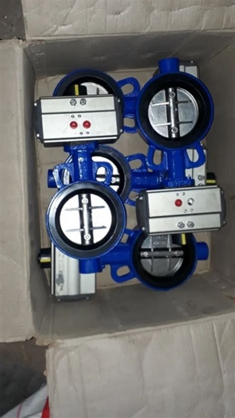 Zoloto Valves Zoloto Check Valves Latest Price Dealers Retailers