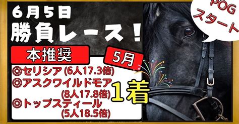 6月5日日中央競馬勝負レース｜みなみ競馬