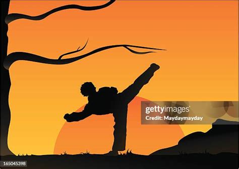 30 Karate And Sun Silhouette Stock Photos, High-Res Pictures, and Images - Getty Images