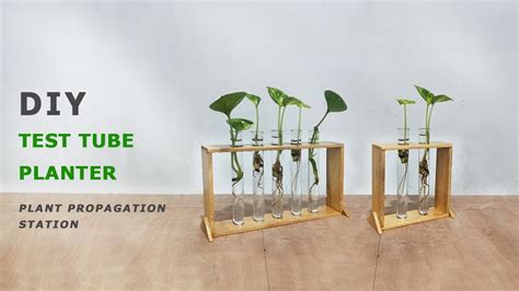 Test Tube Planter How To Make A Wooden Plant Propagation Station