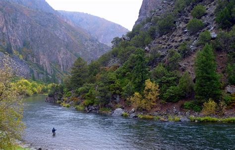 13 Places To Fly Fish Colorado Kirks Flyshop