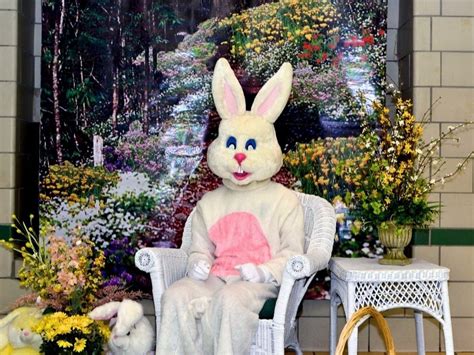 Plan Your Easter Bunny Photos At The Ocean County Mall Toms River Nj