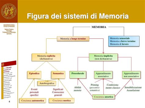 Ppt Corso Le Funzioni Della Mente La Memoria Amnesie