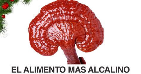 QUE ES EL GANODERMA LUCIDUM Dxn Salud y Nutrición