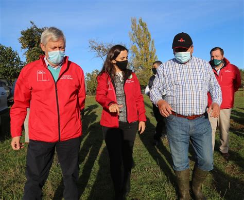 Ministerio de Agricultura decreta emergencia agrícola para la región de