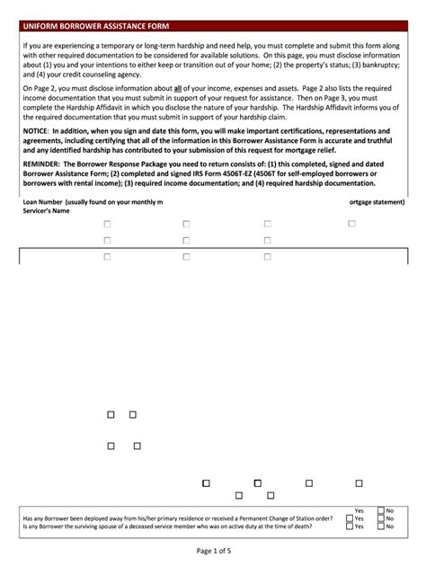 Form 710 Borrower Form Fill Online Printable Fillable Blank