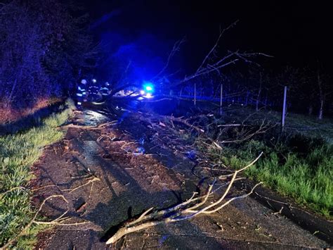 Baum Ber Stra E In Obertriefenbach