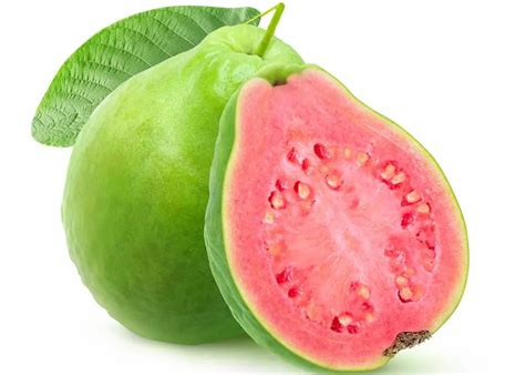 Thai Pink Guava Plants Informacionpublicasvetgobgt