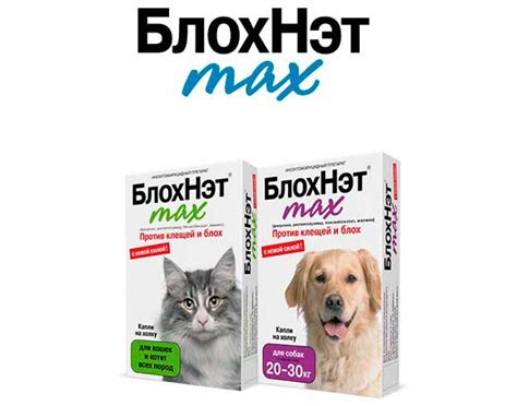БлохНэт от блох для собак и кошек: капли и спрей, инструкция и отзывы ...
