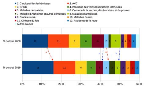 Les Principales Causes De Mortalités Dans Le Monde En 2019