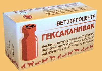 Гексаканивак для собак: инструкция по применению вакцины с дозировкой и ...