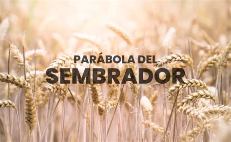 Mensaje de la Parábola del Sembrador y su Explicación