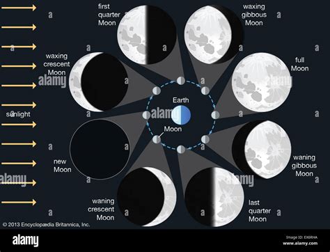 Phases Of The Moon Labeled