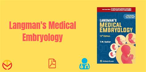 Langmans Embryology Pdf Download Medico Time