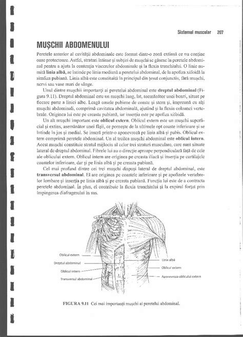 PDF Anatomie Si Fiziologie Umana Pentru Admitere La Facultatile De