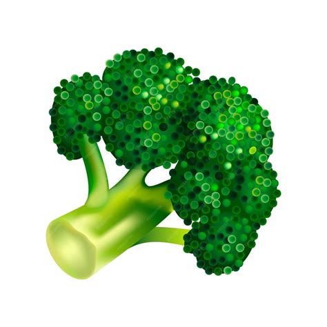 Premium Vector Farm Broccoli Icon Isometric Of Farm Broccoli Vector