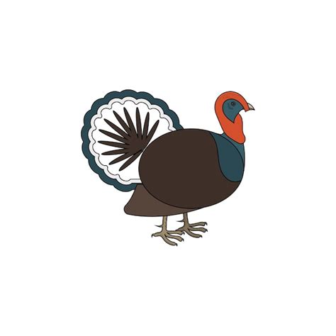 Premium Vector Turkey Bird Vector Icon