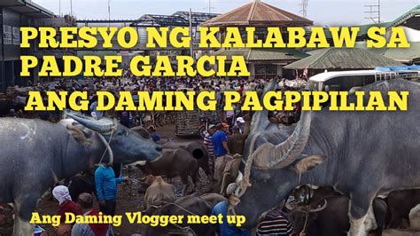 Presyo Ng Kalabaw Sa Padre Garcia Batangas Livestock Ang Daming