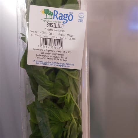 Rago Basilico Review Abillion