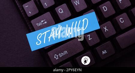 Enseigne à écriture manuscrite Stay Wild Mot pour continuer à être