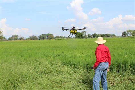 Empieza A Extenderse El Uso De Drones En La Agricultura Panameña