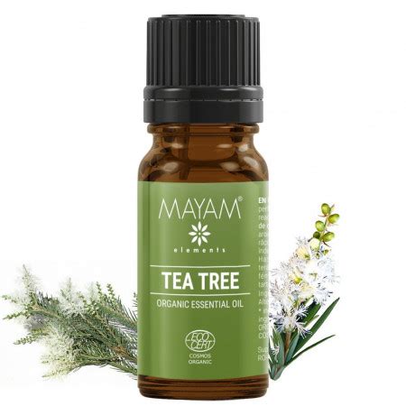 Ulei Esential De Tea Tree 10 Ml Ulei De Arbore De Ceai 100 Pur Si