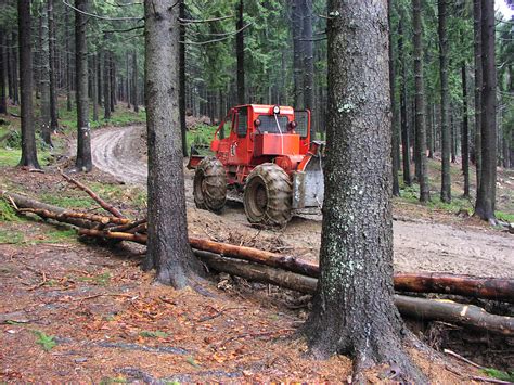 MARAMUREȘ Un nou drum forestier în valoare de 1 7 milioane euro Unde