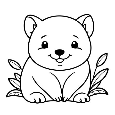 Premium Vector Cute Wombat Coloring Page For Children