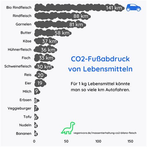 Entfernung Freiheit Bedeutungslos Bier Co Bilanz Larynx September Seminar