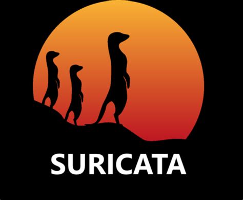 Detecci N De Intrusos Con Suricata Lathack