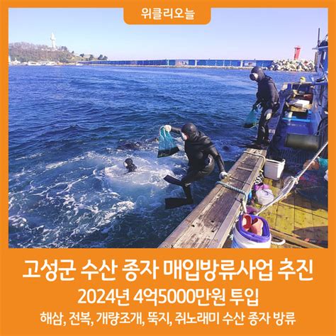 위클리오늘 고성군 2024년 수산 종자 매입방류사업 추진