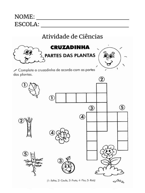 Atividade Adaptada De Ciencias - Atividade Adaptada de Ciências 8ºB | PDF