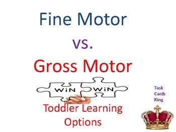 Fine Motor vs Gross Motor Toddler Book by TASK CARDS KING | TPT