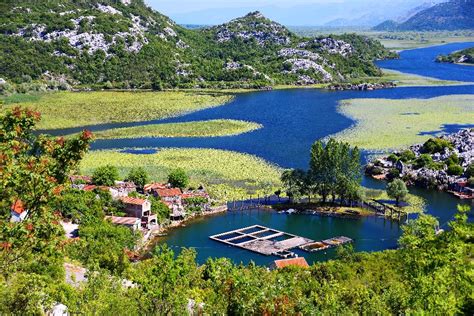 Parco Nazionale Del Lago Di Skadar Montenegro